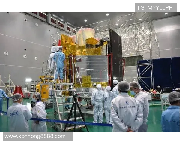 专访羽毛球明星杨娜揭秘她成功背后的努力与坚持