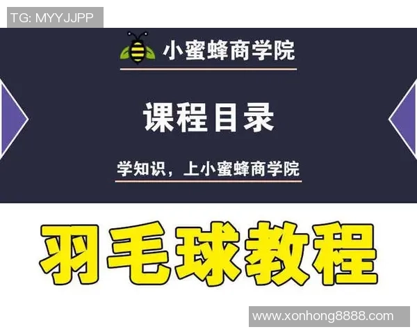 从零基础到羽毛球高手的全面提升指南与实用技巧分享